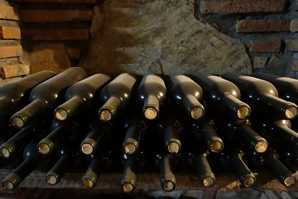 almacenamiento de vino