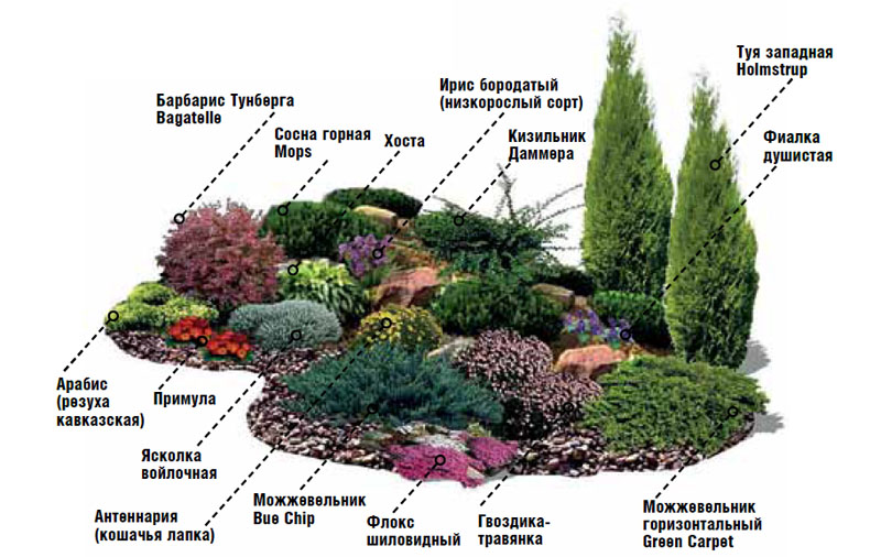 Esquema d'ompliment del jardí de roques