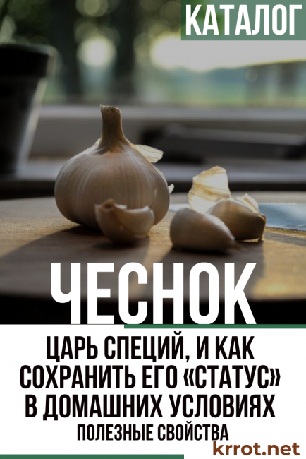 Ajo