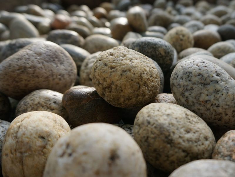 còdols per a jardí de roques