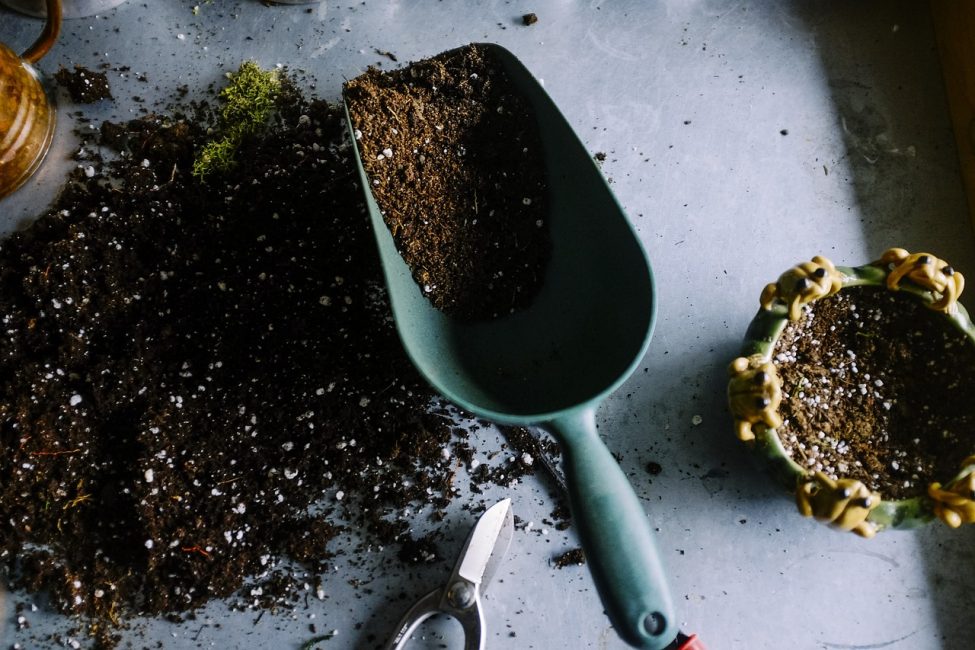virágföld és egy kis spatula