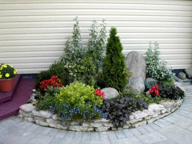 Mini jardí de roca compacte