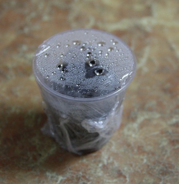Ayrıca plastik kaplar ekim için oldukça uygundur. Her birine birkaç tohum eklenir.