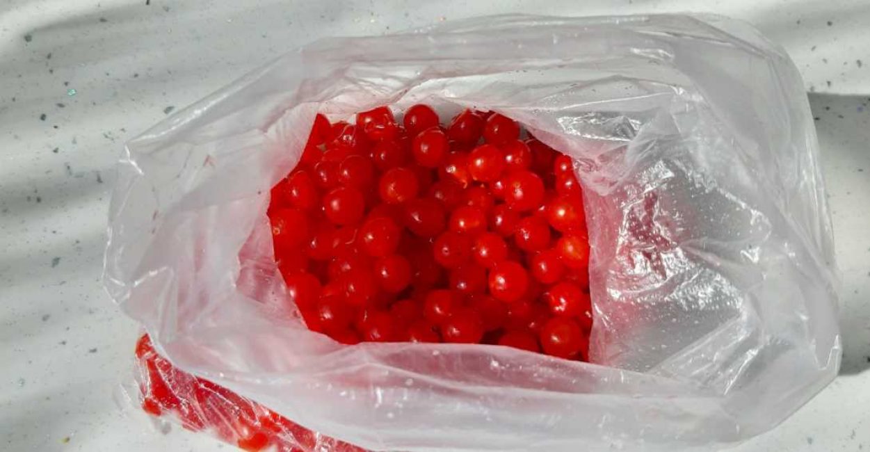 Berry Kalina Red: ja sen hyödylliset ominaisuudet ja vasta-aiheet, 10 kansanreseptiä
