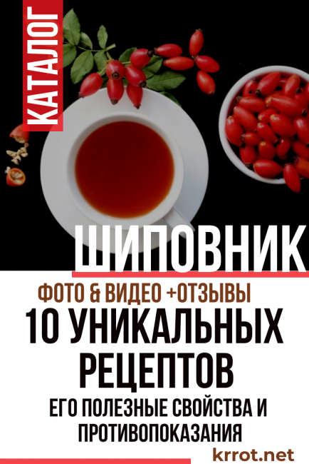шипка и нейните полезни свойства