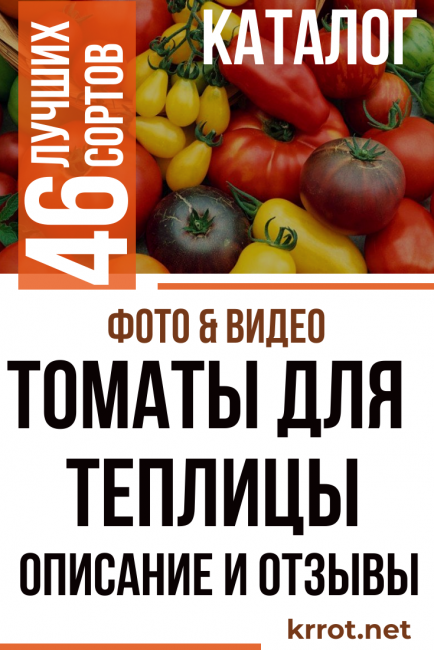 ντομάτες