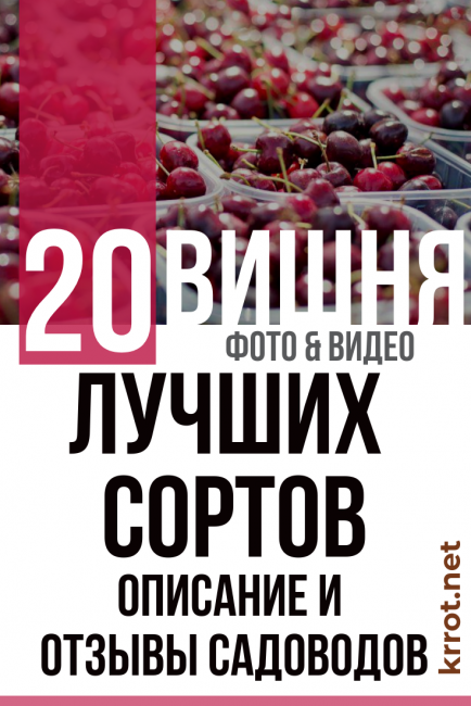 череша