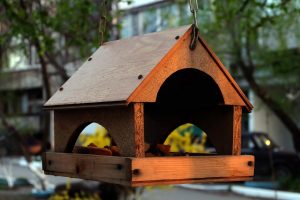 ¿Cómo hacer un comedero para pájaros con tus propias manos? 19 ideas originales (180 fotos y videos) + Reseñas
