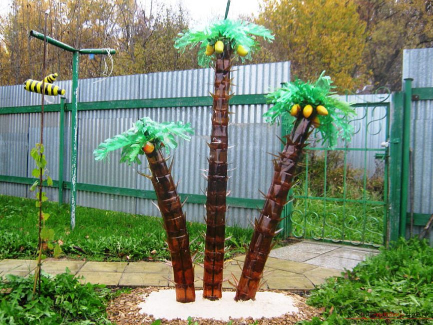 Palmeres d'ampolles de plàstic