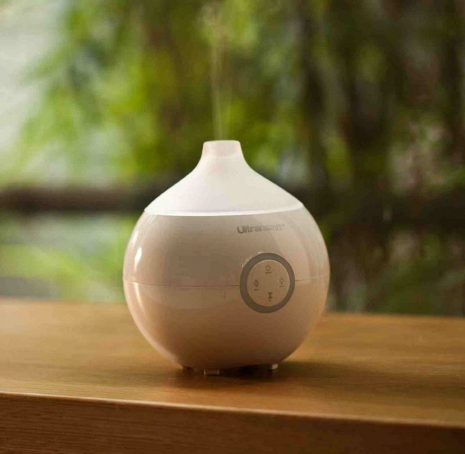 humidificador de plantas de interior