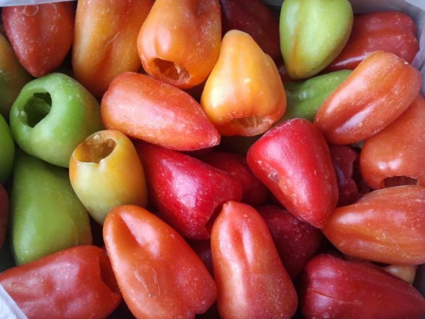 Congelación en seco de pimiento
