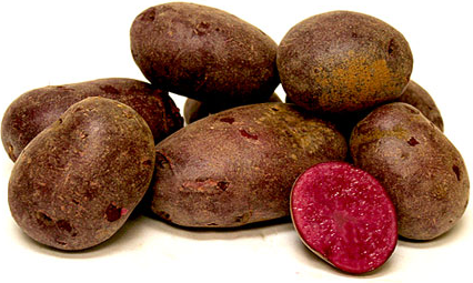 Κόκκινο Cranberry