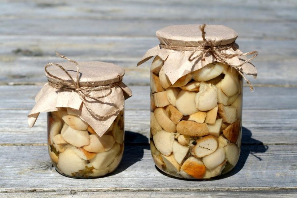 Marinoidut porcini-sienet