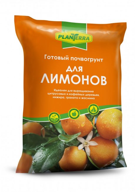 Mağazada kapalı limon dikmek için hazır toprak satın alabilirsiniz.