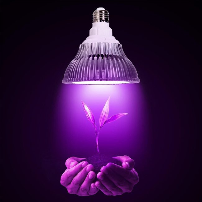 Φυτολάμπα LED