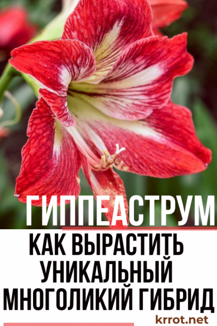  Σωστή φροντίδα στο σπίτι