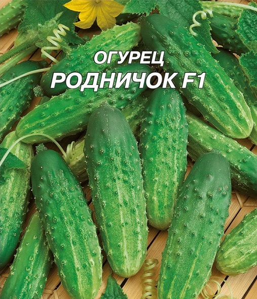 Fontanel F1 fajta uborka