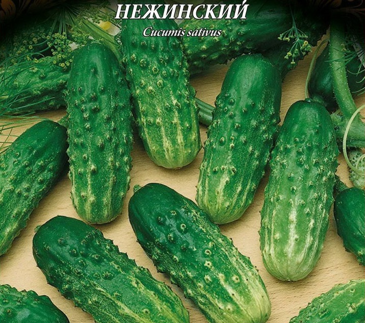Nezhinsky különféle uborka