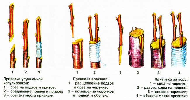 подложка
