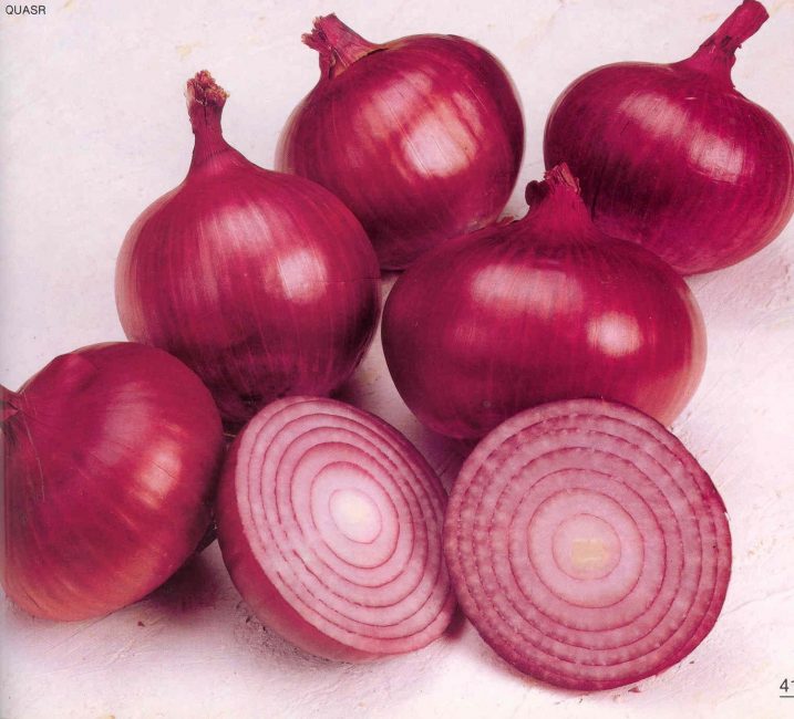 Red Semko F1 hagyma fajta