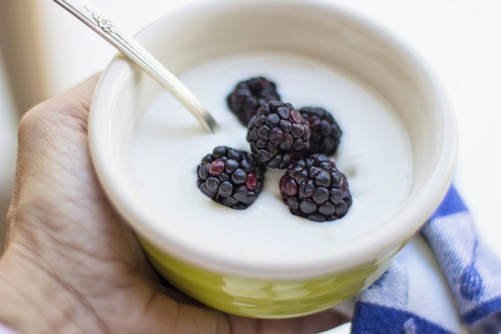 Les modernes màquines de pa us permeten cuinar iogurt, llet fermentada al forn, kefir