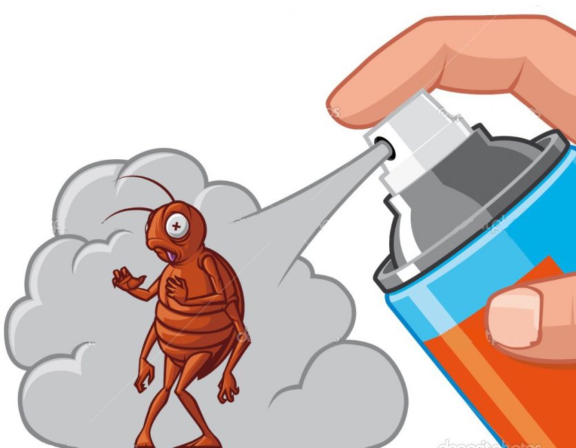 Los insectos se pueden eliminar rápidamente de la casa solo cuando se encuentra un nido.