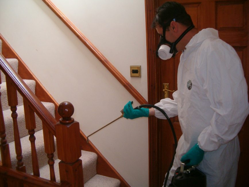 Servicio para la destrucción de insectos en el apartamento.