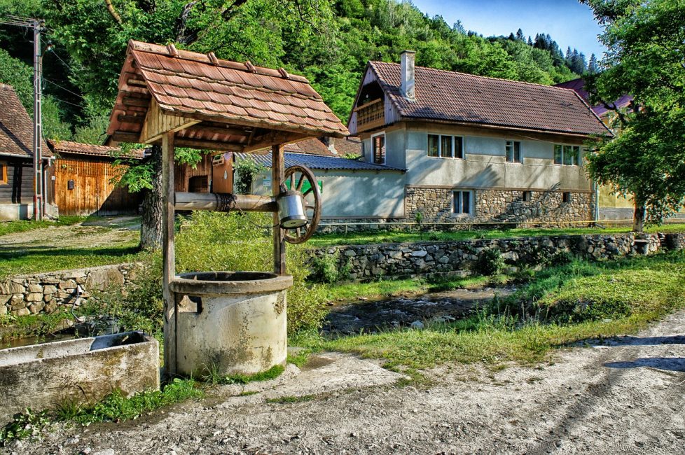 iyi bahçede