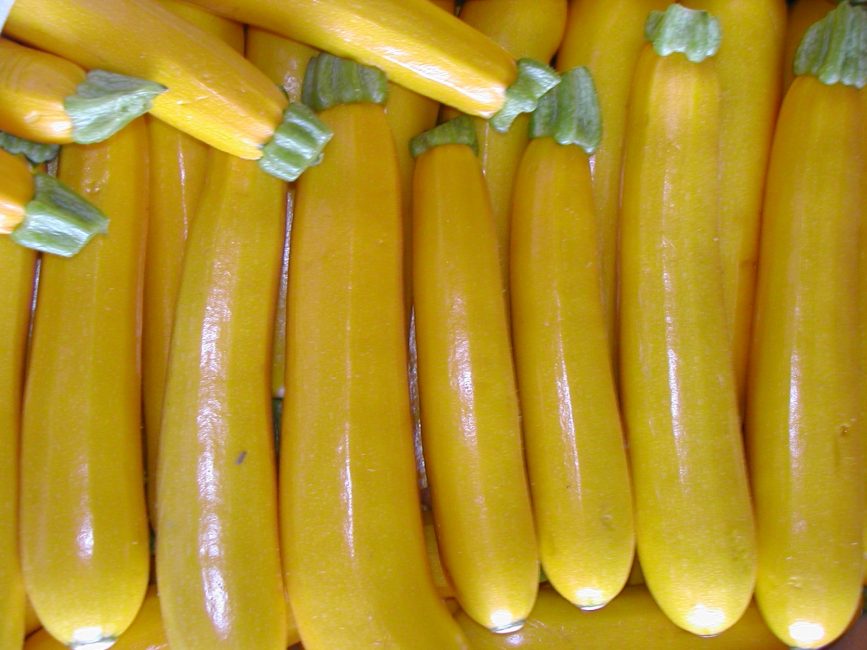 Kesäkurpitsalajike Ananas