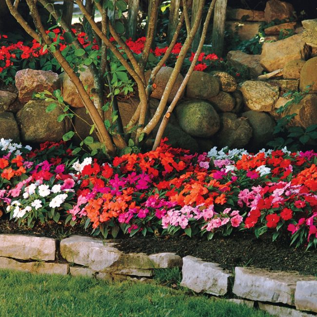 Hermosa cama de flores