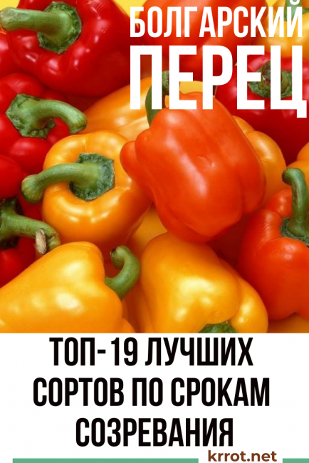 kaliforniai paprika