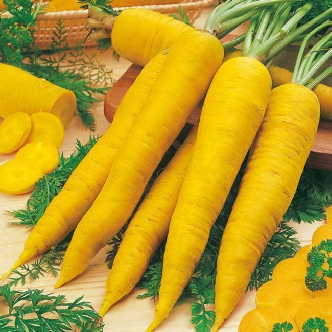sárgakő