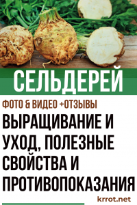 Целина: описание, отглеждане и грижи, полезни свойства и противопоказания (Снимка и Видео) + Рецензии