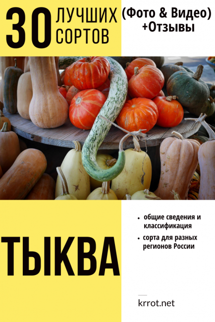 Calabaza: descripción de las 30 mejores variedades. Información general y clasificación, variedades para diferentes regiones de Rusia (Foto y Video) + Reseñas