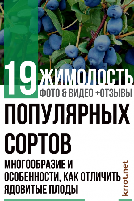 орлови нокти