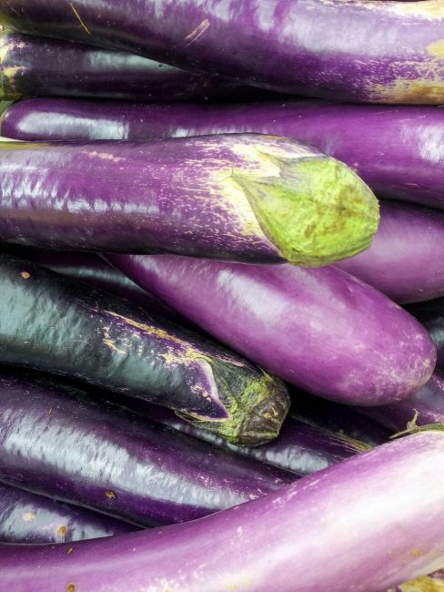 Aubergine med torr hud