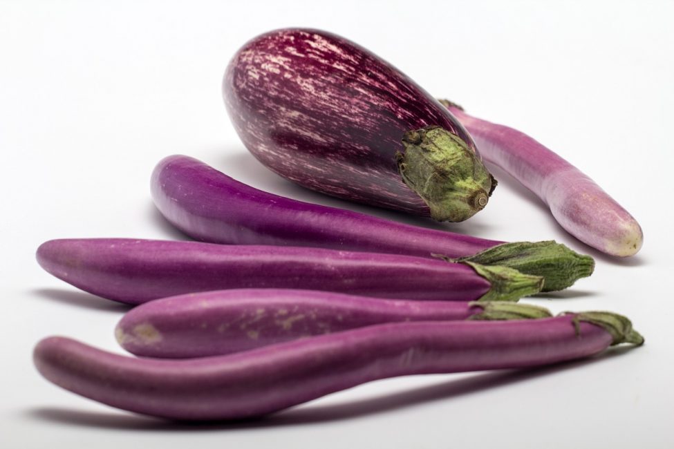 Två sorters aubergine