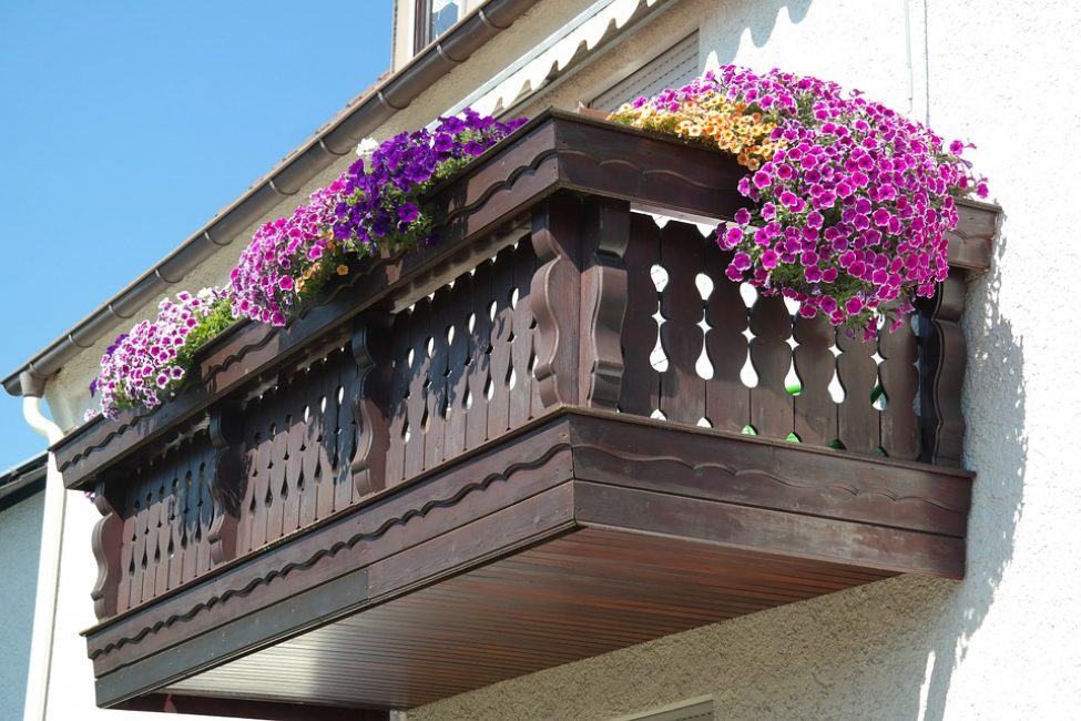 Decoració de balcons amb diferents varietats de petúnies.