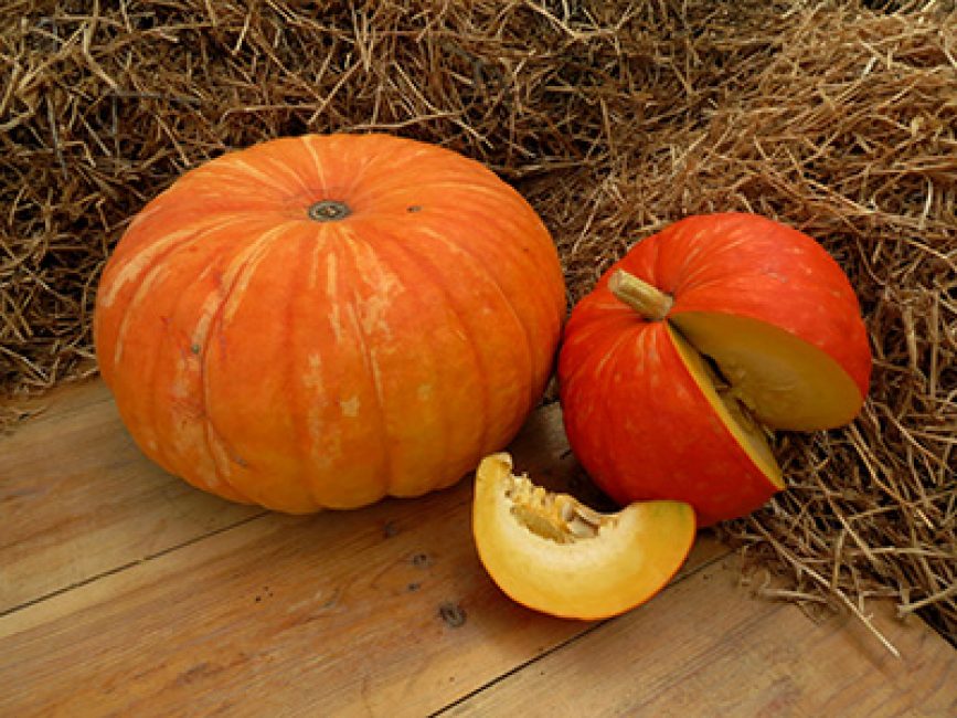calabaza confitada