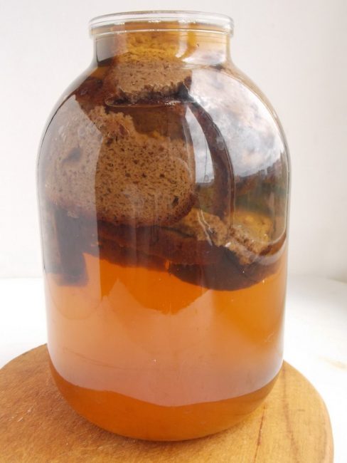 Σπιτικό kvass