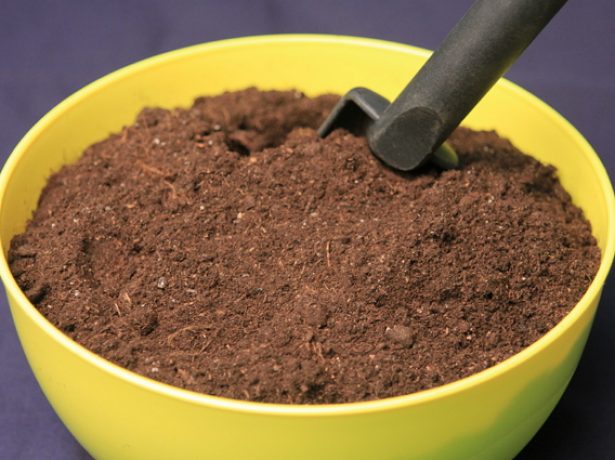 En triar un sòl, és important parar atenció a la seva composició.