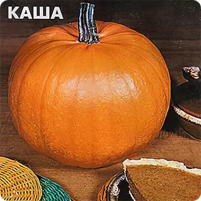 papilla rusa