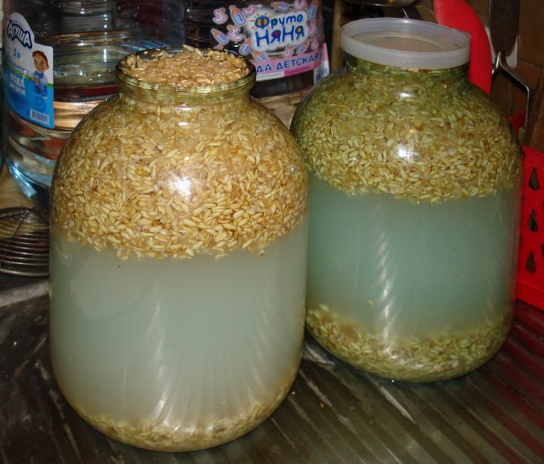 σπιτικό kvass