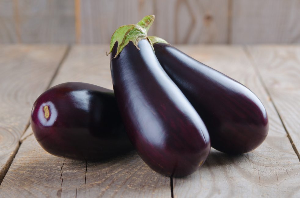 Vera aubergine sort