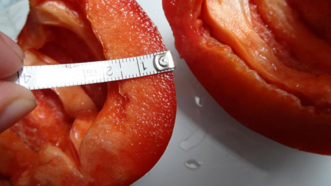 A képen a Kolobok paprika egy része látható: nagyon vastag falak