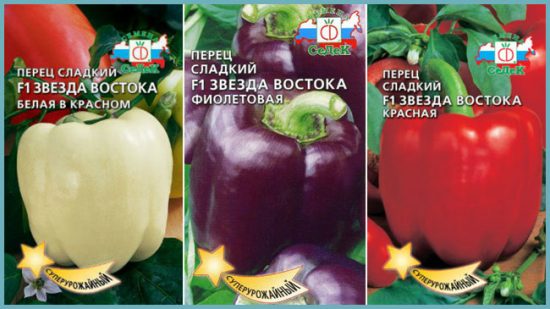 Varietálos sorozat Kelet csillaga. Vetőmag eladó.