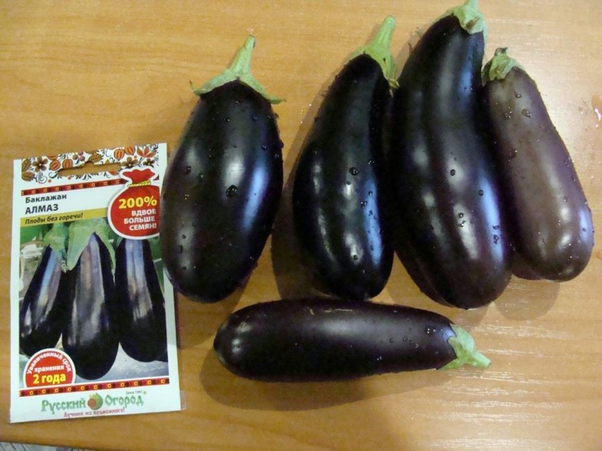Aubergine av diamantkvalitet