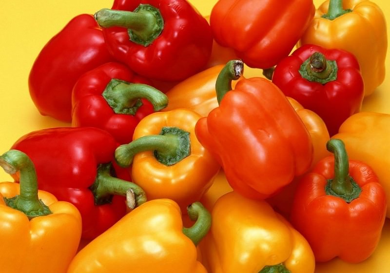 Paprika fajta Micimackó