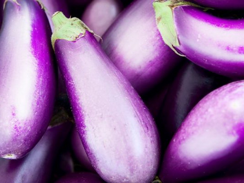 Lila aubergine sort