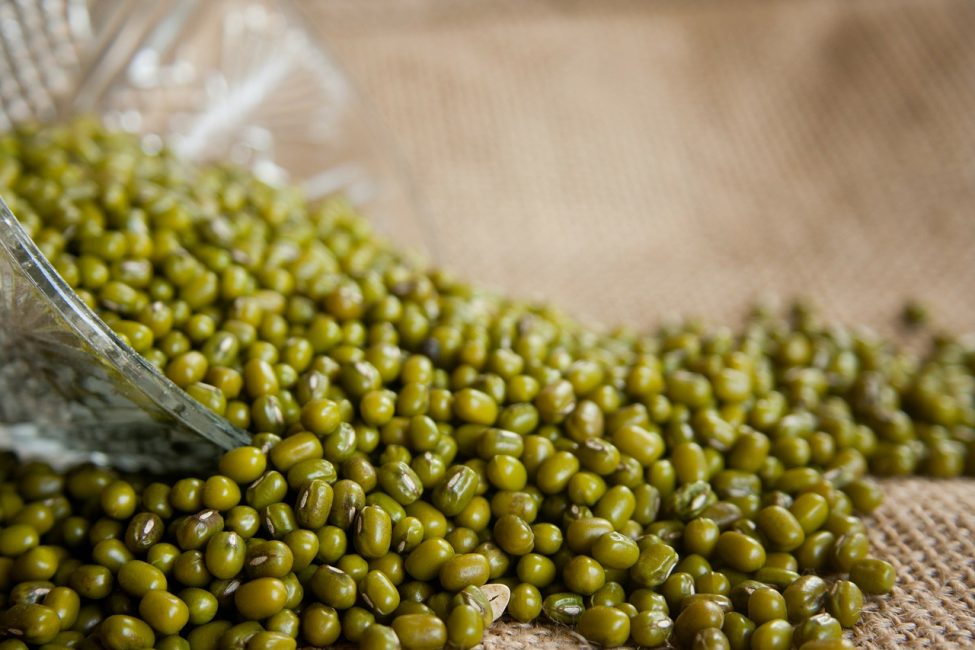  Vigna, säteilevä